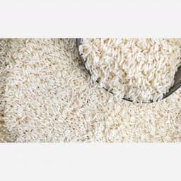 برنج طارم هاشمی اصل فریدونکنار — تصویر ۲