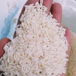 برنج هاشمی درجه یک آستانه اشرفیه محصول سال 1405 — تصویر ۲