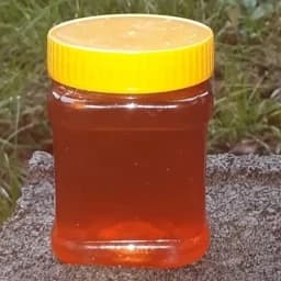 عسل وحشی شهد نیم کیلویی(عسل فروشی اسمعیلی) — تصویر ۲