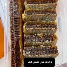 عسل موم دار گون2کیلو( فراورده های طبیعی ایلیا ) — تصویر ۲