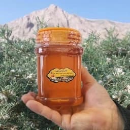 عسل انگبین سفارشی،گون گز1کیلویی اصل(ارسال رایگان با خرید 2م از غرفه) — تصویر ۲