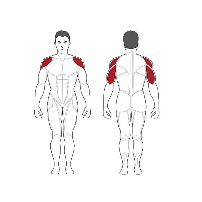 دستگاه پرس سرشانه وزنه آزاد استیل فلکس Steel Flex PLSP — تصویر ۲