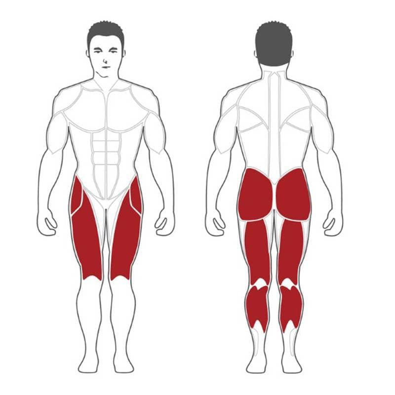 دستگاه هاگ پا وزنه آزاد استیل فلکس Steel Flex PLHP — تصویر ۲