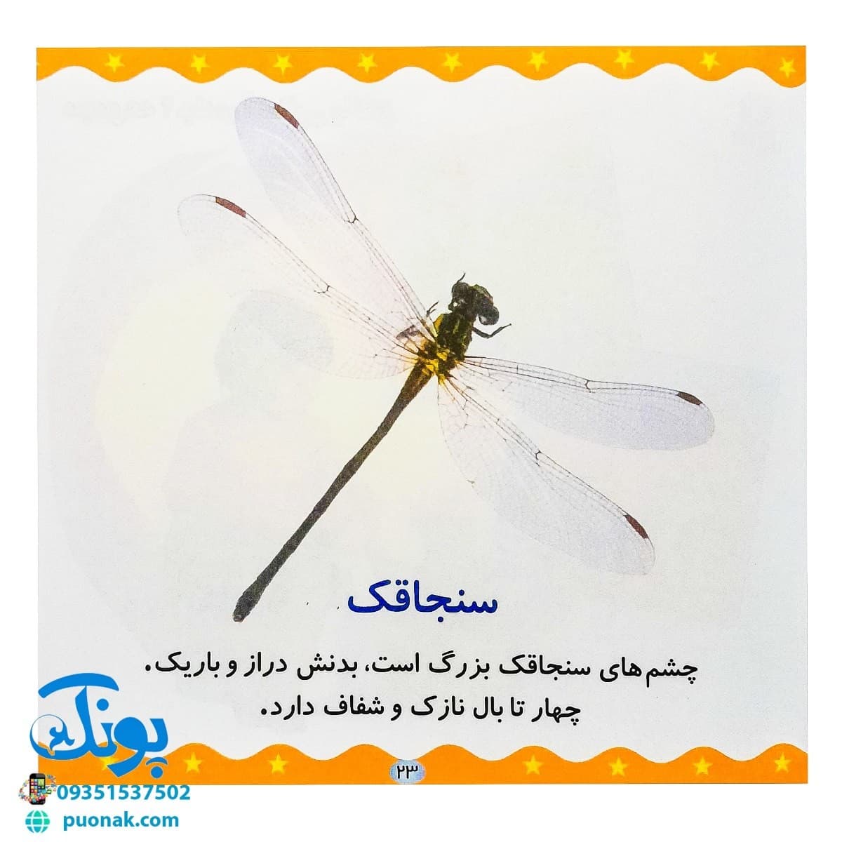 کتاب حیوانات (مجموعه می‌بینم، یاد می‌گیرم ۵) — تصویر ۷