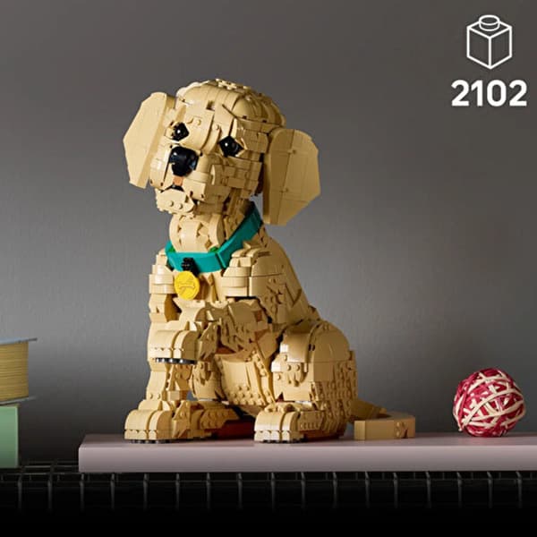 لگو سری آیکونز مدل Golden Retriever Puppy کد 11384 — تصویر ۷