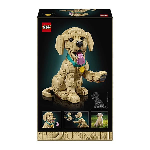 لگو سری آیکونز مدل Golden Retriever Puppy کد 11384 — تصویر ۳