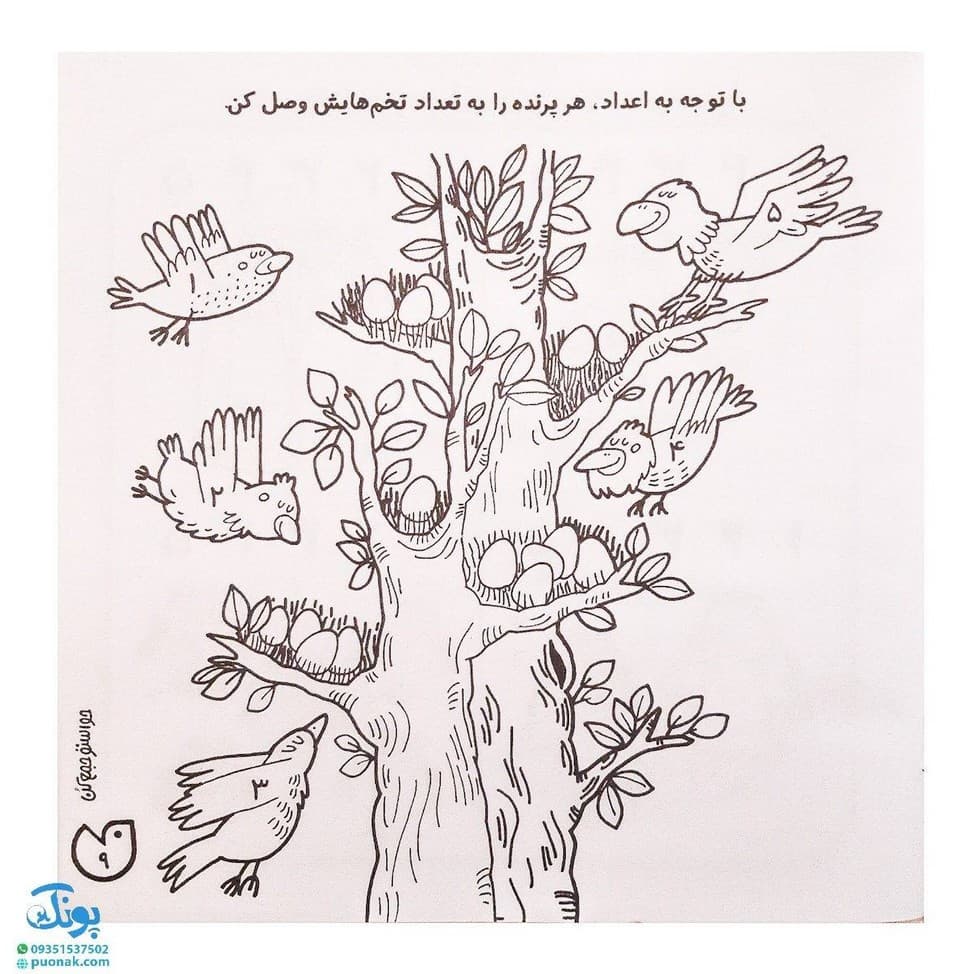 کتاب حواستو جمع کن ۷ (آموزش ریاضی، شناخت اعداد ۵ تا ۹) — تصویر ۴
