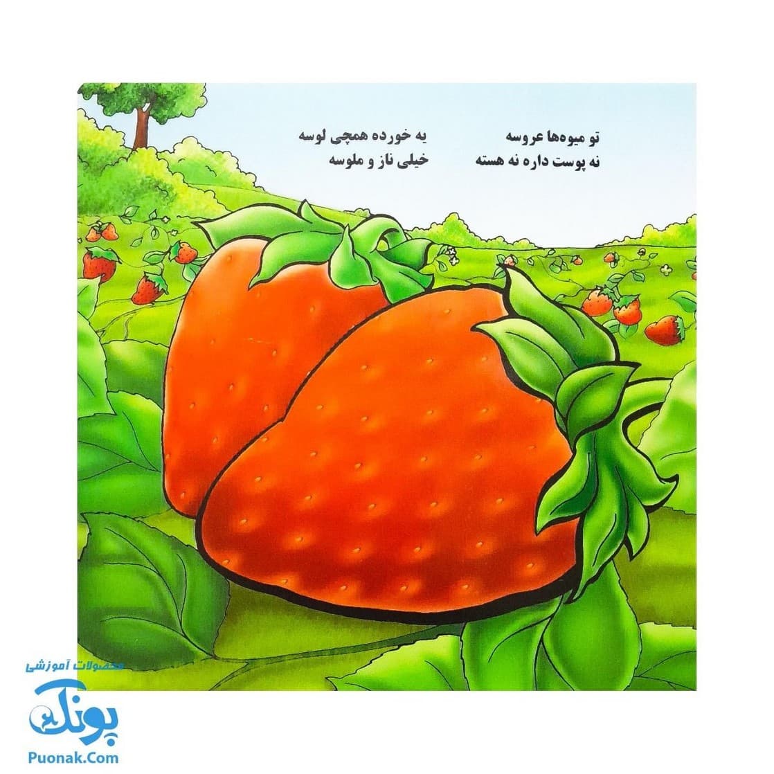 کتاب میوه ها (شعر) – خانه ادبیات — تصویر ۵