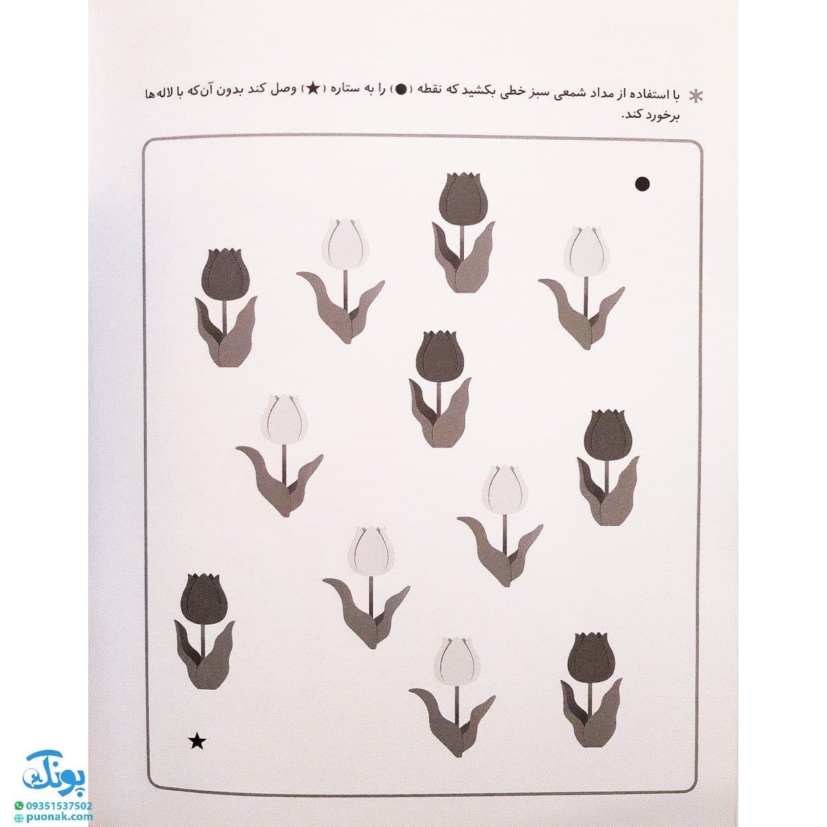 کتاب رنگ کنیم ۲ (مجموعه کتاب های کار کومن) — تصویر ۶
