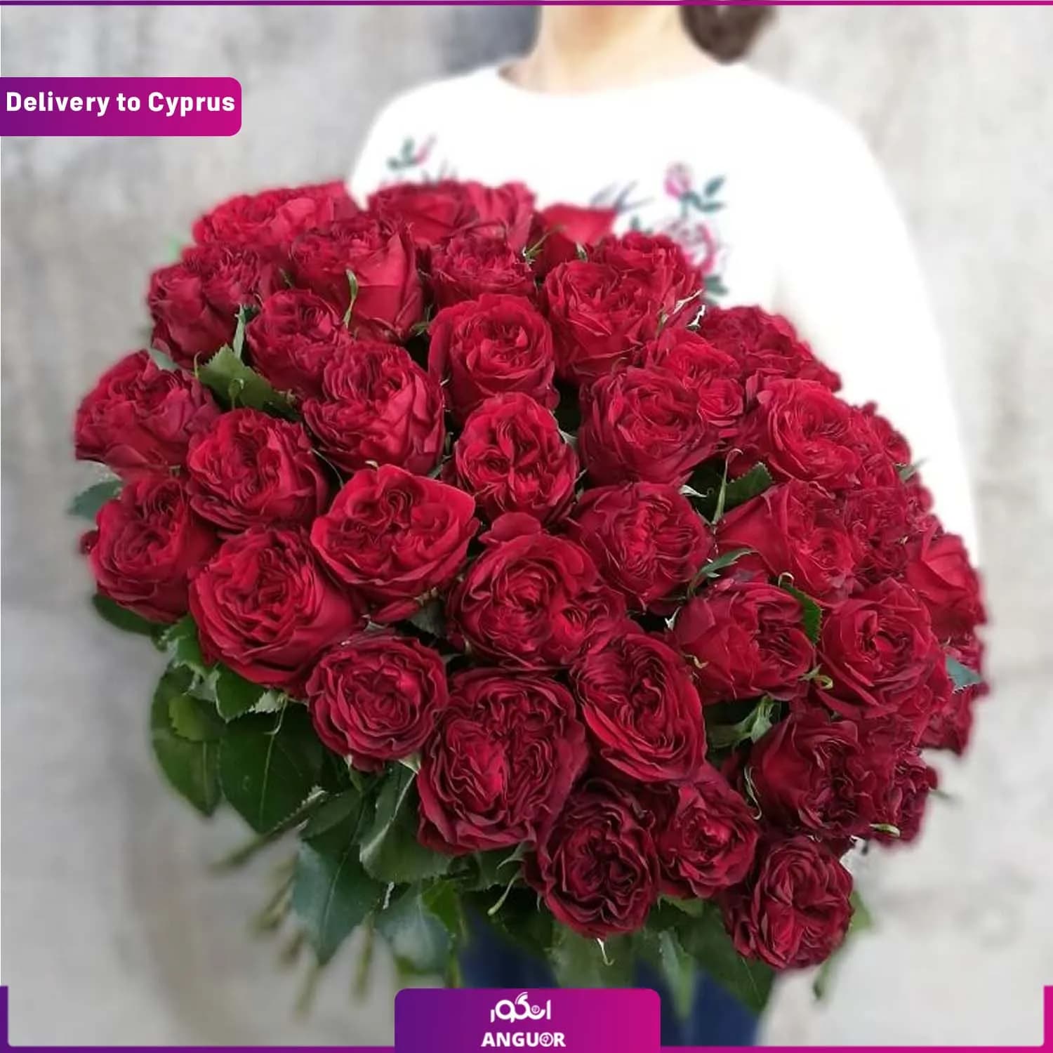 دسته گل رز 51 شاخه (ارسال گل به قبرس)
