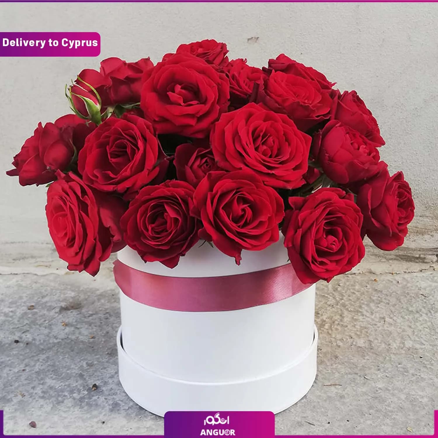 باکس گل رز قرمز (ارسال گل به قبرس)