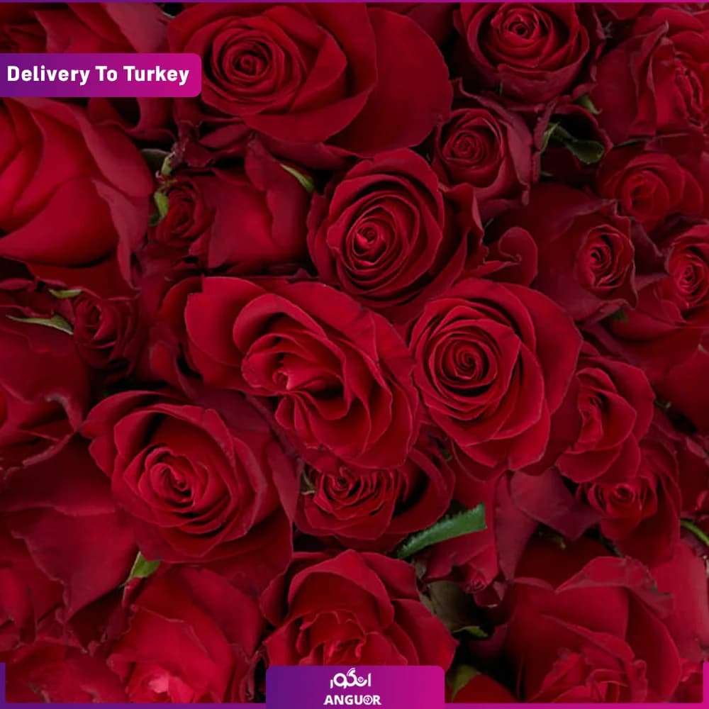 دسته گل رز قرمز 100 شاخه (تحویل در ترکیه) — تصویر ۴