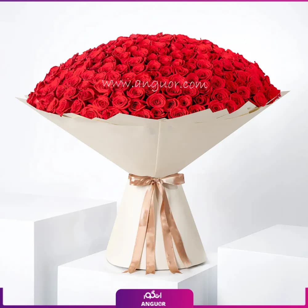 دسته گل رز قرمز 365 شاخه