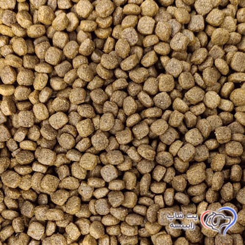 غذای خشک گربه بالغ ایندور سلبن 10 کیلوگرم — تصویر ۲