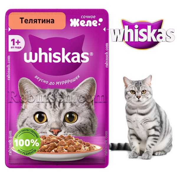 پوچ گربه ویسکاس روسیه گوساله در ژله 75 گرم