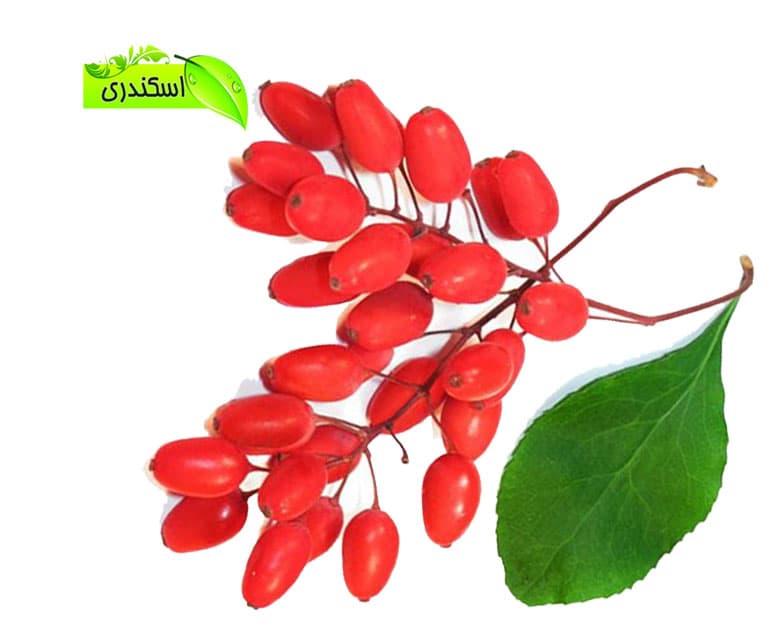زرشک طبیعی و ارگانیک مخصوص آبگیری — تصویر ۲