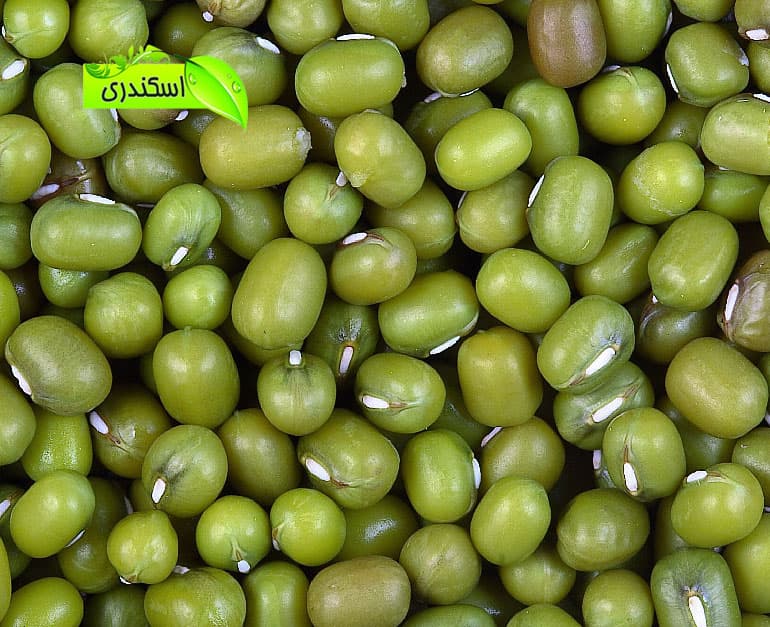 ماش طبیعی و سالم ایرانی — تصویر ۲