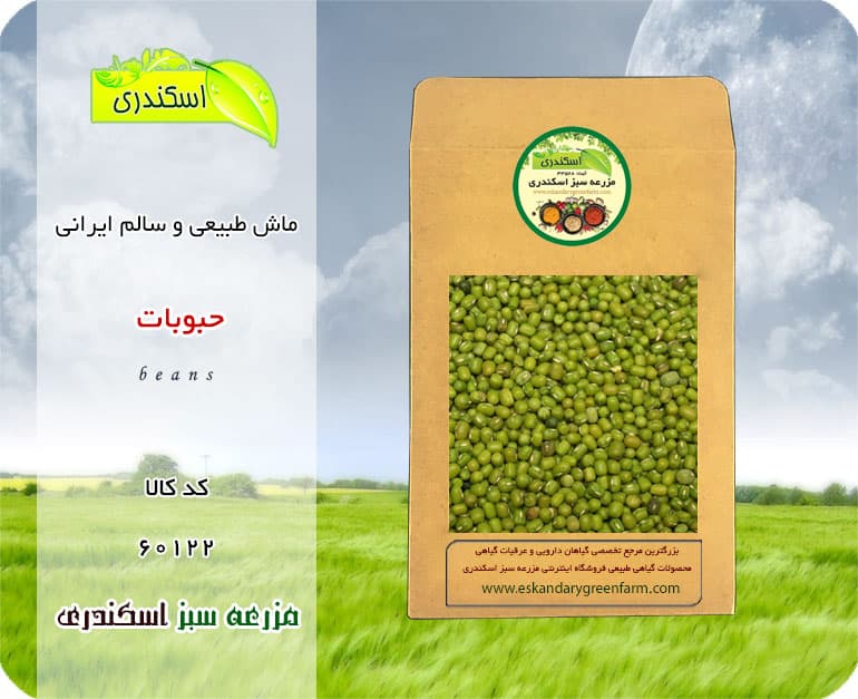 ماش طبیعی و سالم ایرانی