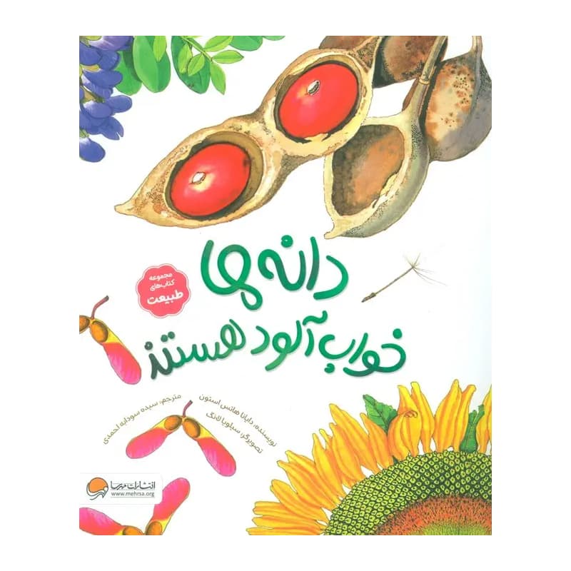 کتاب دانه‌ها خواب‌آلود هستند