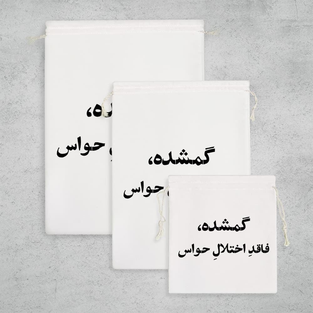 کیسه نظم دهنده گمشده فاقد اختلال حواس — تصویر ۳