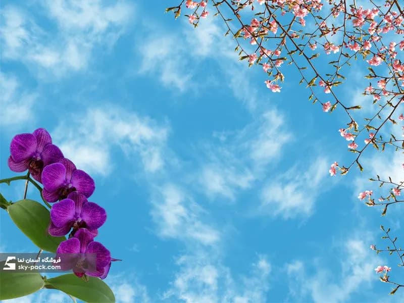 آسمان مجازی طرح شکوفه های ریز و آسمان — تصویر ۲