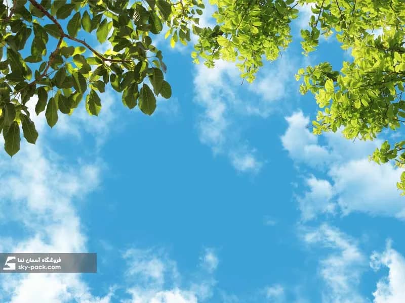 آسمان مجازی طرح درختان سبز