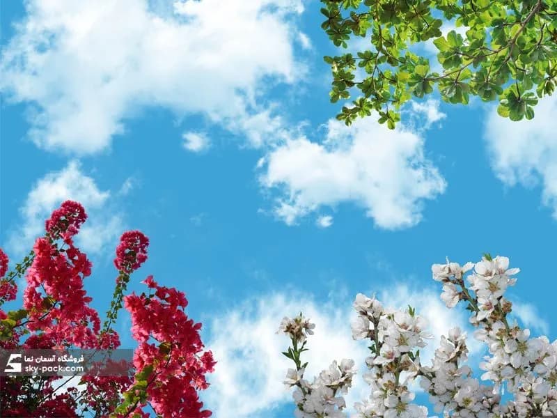 آسمان مجازی طرح گل کاغذی