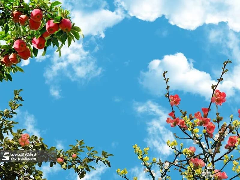آسمان مجازی طرح درختان سیب و شکوفه ها
