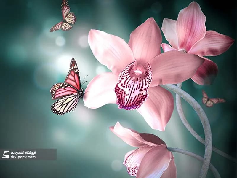 آسمان مجازی گل ، کد 34132 — تصویر ۲