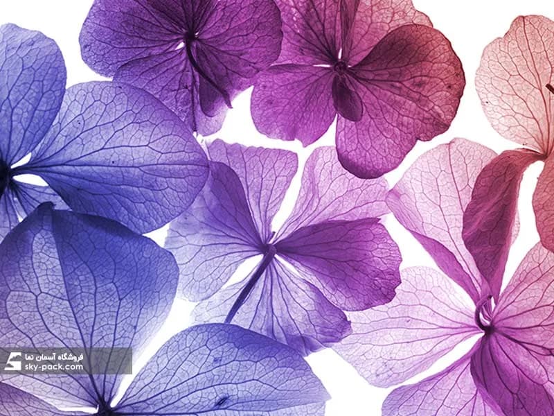 آسمان مجازی سفید و بنفش