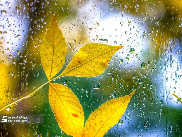 آسمان مجازی طرح برگ