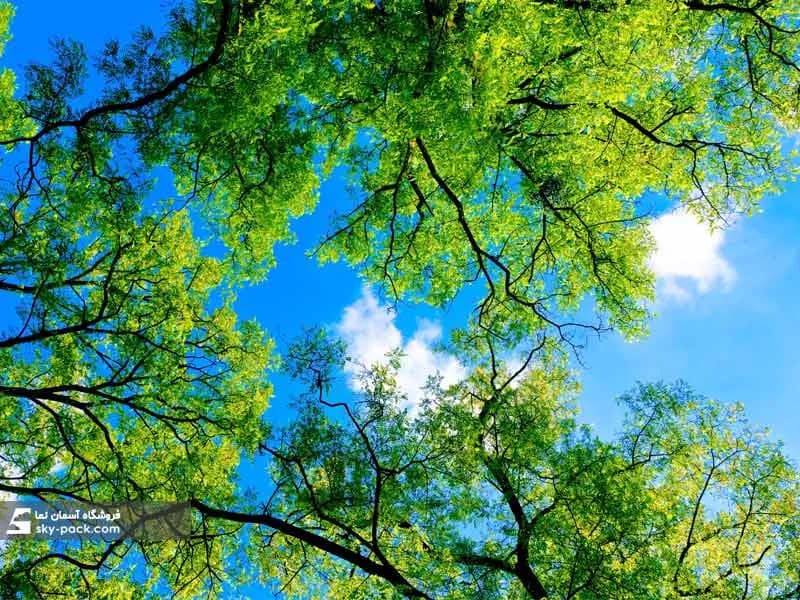 آسمان مجازی طرح درختان سبز و ابرها — تصویر ۲