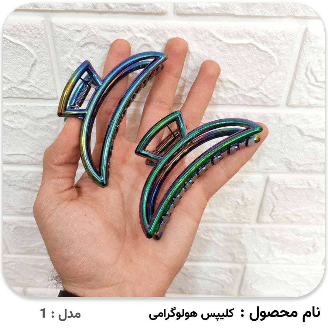 کلیپس هولوگرامی — تصویر ۴