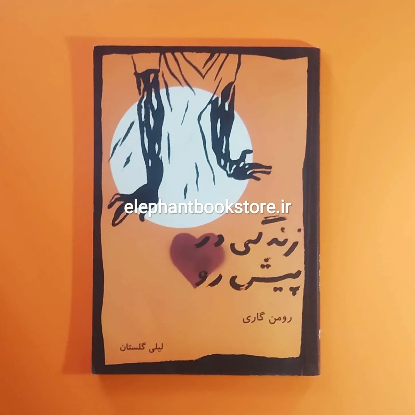 کتاب زندگی در پیش رو ترجمه لیلی گلستان