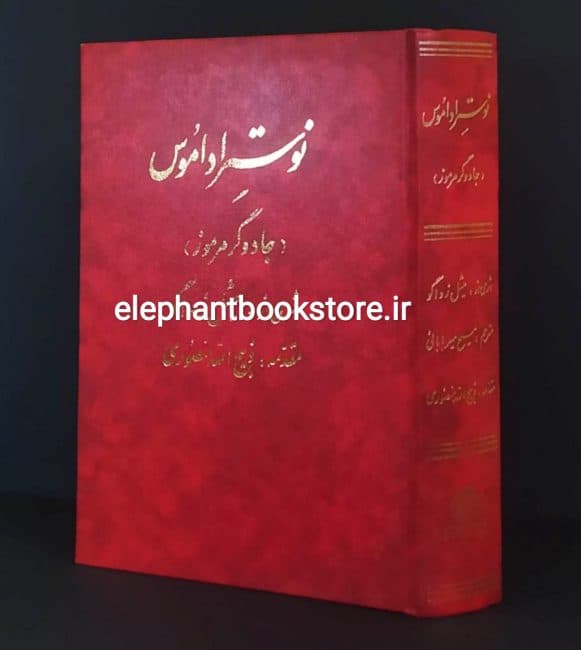 کتاب نوستراداموس (جادوگر مرموز) اثر میشل زواگو