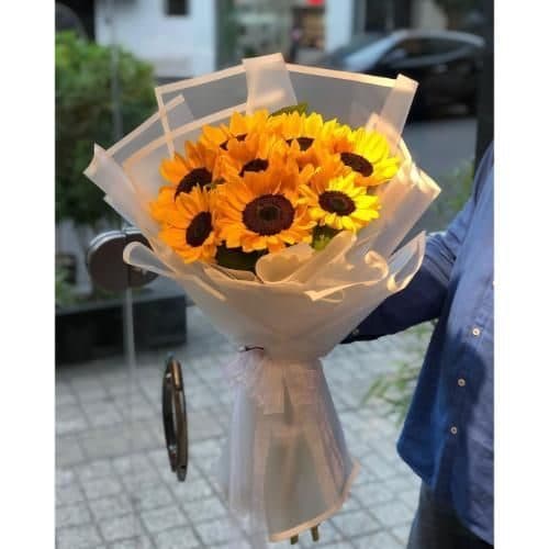 سفارش دسته گل و کادو برای وکیل t3301