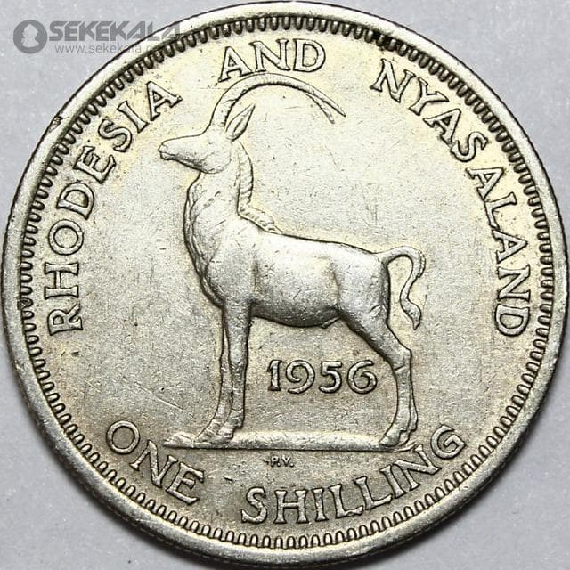 سکه 1 شیلینگ رودزیا مستعمره بریتانیا 1956 (ملکه الیزابت)(بسیار کمیاب)