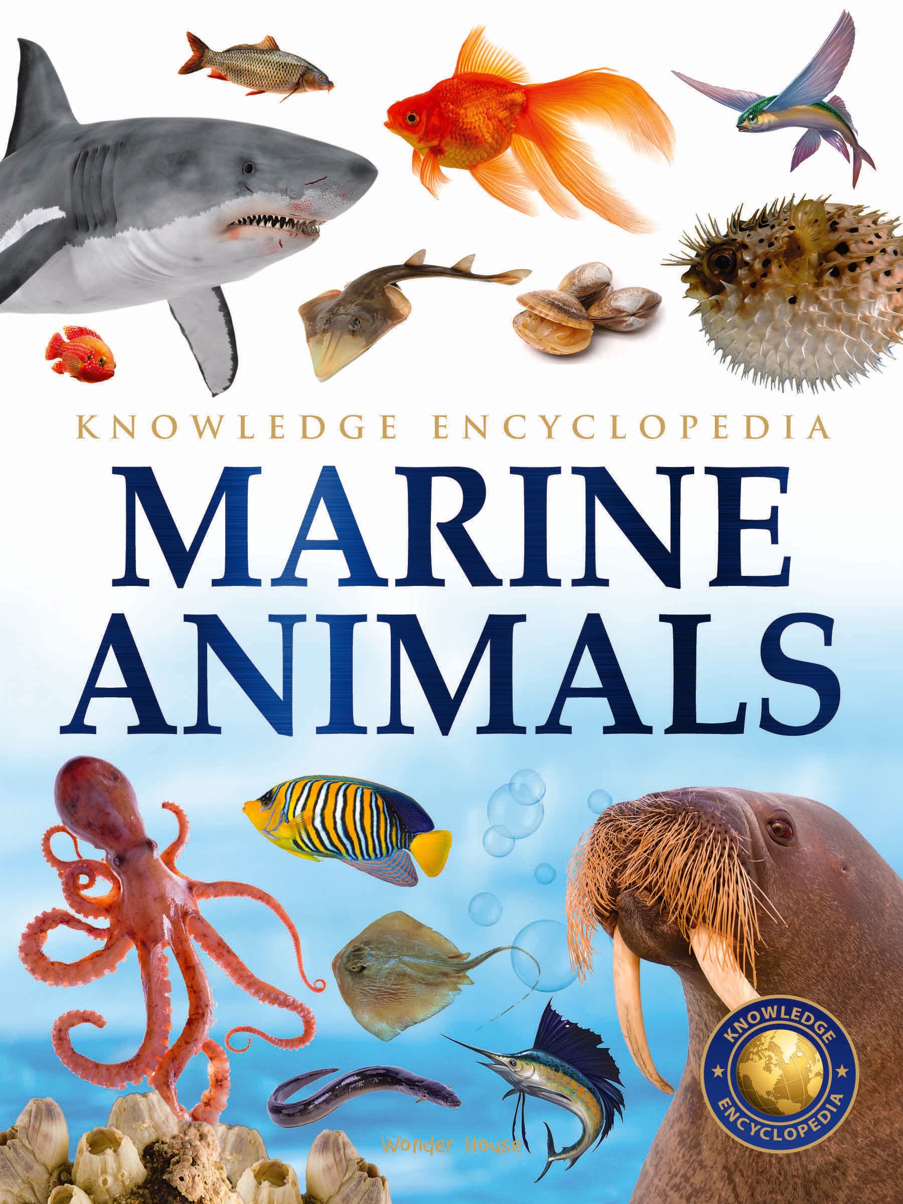 Animals Marine Animals Knowledge Encyclopedia for Children