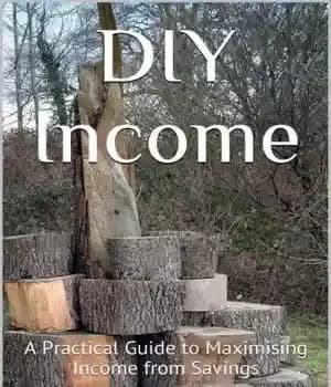 دانلود کتاب DIY Income: A Practical Guide to Maximising Income from Savings – درآمد DIY: راهنمای عملی برای به حداکثر…