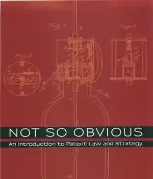 دانلود کتاب Not so obvious : an introduction to patent law and strategy – نه چندان واضح: مقدمه ای بر…