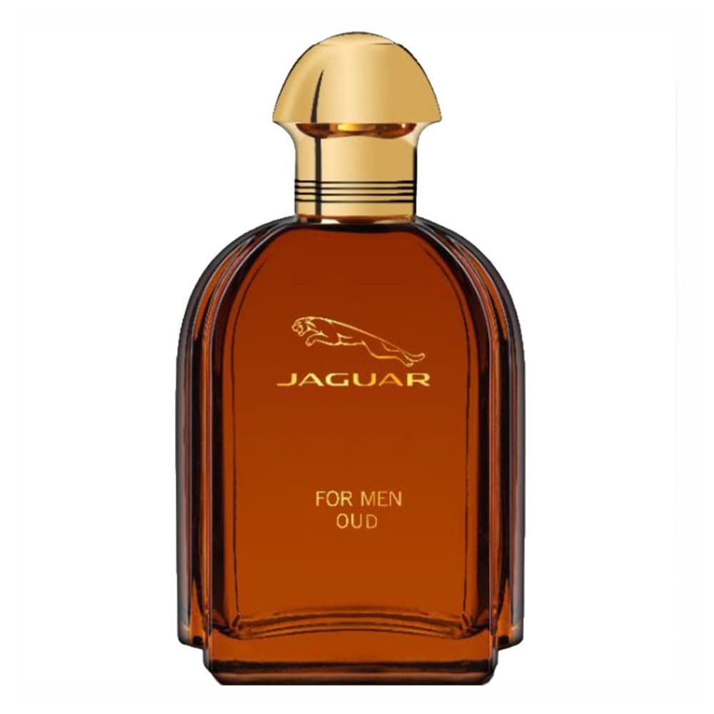 عطر مردانه جگوار Oud حجم 100 — تصویر ۲