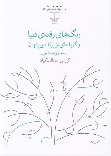 رنگ های رفته ی دنیا و گزیده ای از پرنده ی پنهان