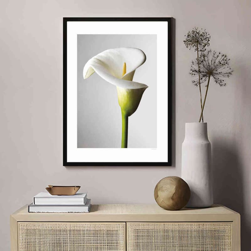 تابلو مدل Lily of light کد 2489011178 — تصویر ۳