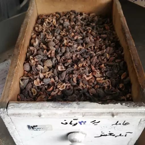 آمله مغشر 75 گرم — تصویر ۲