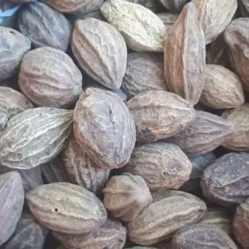 هلیله زرد 75 گرم — تصویر ۲