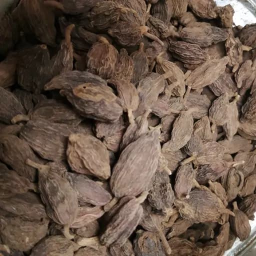 هل قراب 75 گرم