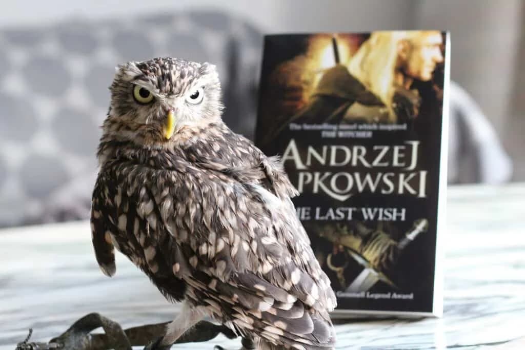 رمان The Witcher 1 – The Last Wish — تصویر ۴
