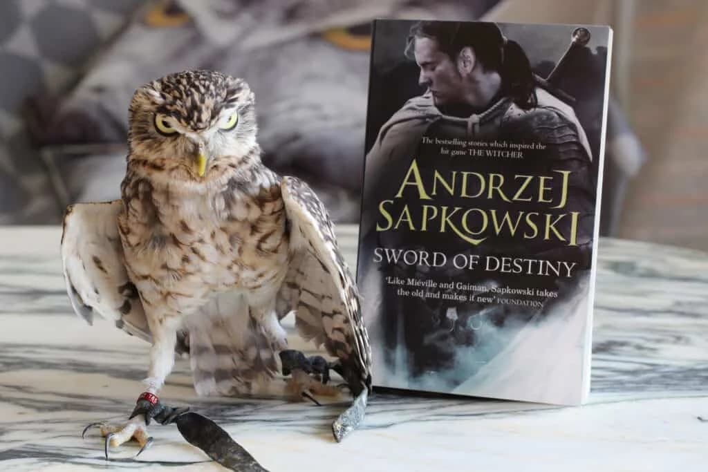 رمان The Witcher 2 – Sword of Destiny — تصویر ۴