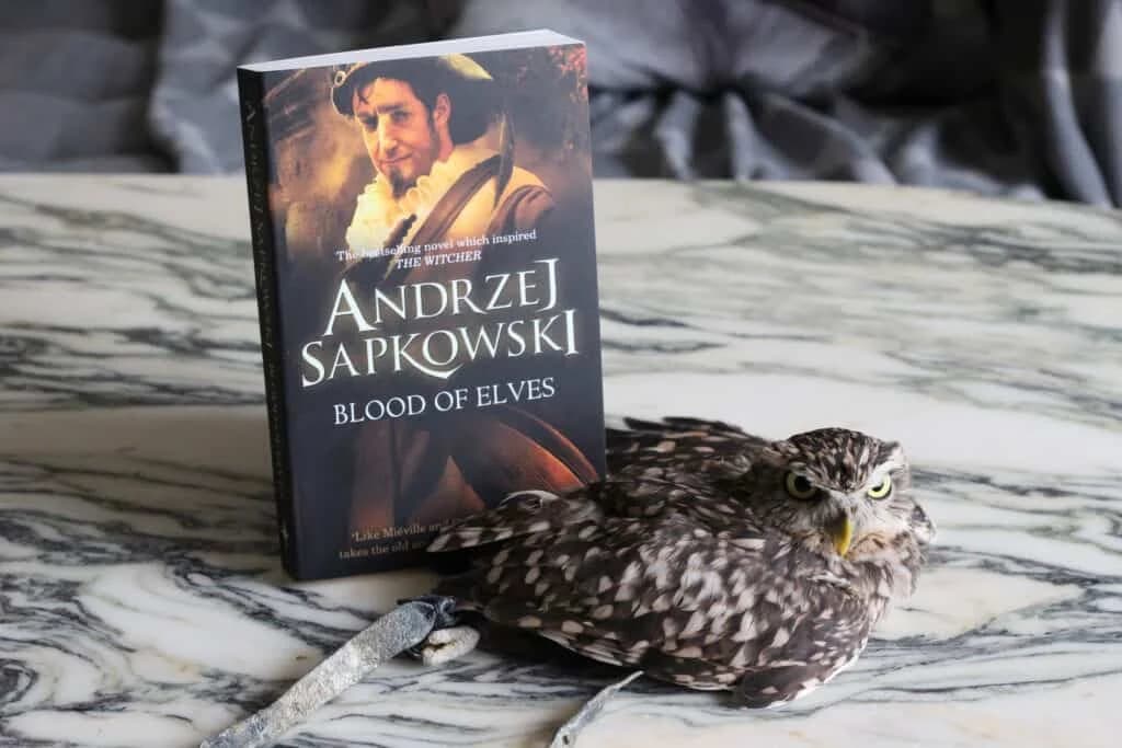 رمان The Witcher 3 – Blood of Elves — تصویر ۲