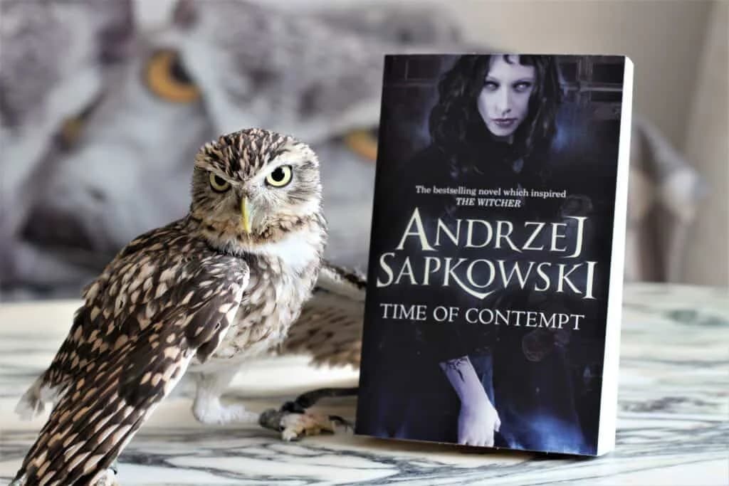 رمان The Witcher 4 – Time of Contempt — تصویر ۲